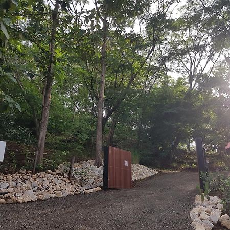 Baliyana Lodge San José Pinilla Eksteriør billede